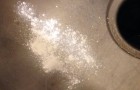 Powder Cleanser on Stainless Sink